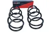 Fahrwerksfeder Vorderachse MAXGEAR 60-1205D Bild Fahrwerksfeder Vorderachse MAXGEAR 60-1205D