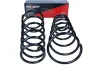 Fahrwerksfeder Hinterachse MAXGEAR 60-1229D Bild Fahrwerksfeder Hinterachse MAXGEAR 60-1229D