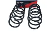 Fahrwerksfeder Vorderachse MAXGEAR 60-1237D Bild Fahrwerksfeder Vorderachse MAXGEAR 60-1237D