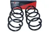 Fahrwerksfeder Vorderachse MAXGEAR 60-1253D Bild Fahrwerksfeder Vorderachse MAXGEAR 60-1253D