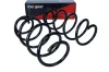 Fahrwerksfeder MAXGEAR 60-1255D Bild Fahrwerksfeder MAXGEAR 60-1255D