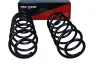 Fahrwerksfeder Hinterachse MAXGEAR 60-1434D Bild Fahrwerksfeder Hinterachse MAXGEAR 60-1434D