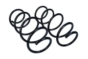 Fahrwerksfeder Vorderachse MAXGEAR 60-1449D