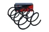 Fahrwerksfeder Vorderachse MAXGEAR 60-1454D Bild Fahrwerksfeder Vorderachse MAXGEAR 60-1454D