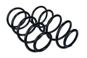 Fahrwerksfeder Vorderachse MAXGEAR 60-1484D