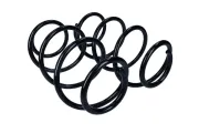 Fahrwerksfeder Vorderachse MAXGEAR 60-1510D