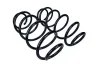 Fahrwerksfeder Vorderachse MAXGEAR 60-1521D