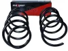 Fahrwerksfeder Vorderachse MAXGEAR 60-1541D Bild Fahrwerksfeder Vorderachse MAXGEAR 60-1541D