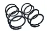 Fahrwerksfeder Vorderachse MAXGEAR 60-1559D