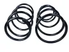 Fahrwerksfeder Vorderachse MAXGEAR 60-1671D