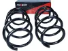Fahrwerksfeder MAXGEAR 60-1713D Bild Fahrwerksfeder MAXGEAR 60-1713D