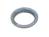 Dichtring, Abgasrohr MAXGEAR 70-0549 Bild Dichtring, Abgasrohr MAXGEAR 70-0549