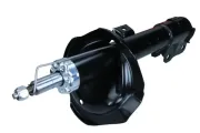 Stoßdämpfer Vorderachse rechts MAXGEAR 11-1056