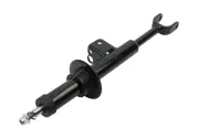 Stoßdämpfer Vorderachse links MAXGEAR 11-1378