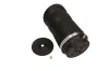 Luftfeder, Fahrwerk Hinterachse MAXGEAR 11-0559 Bild Luftfeder, Fahrwerk Hinterachse MAXGEAR 11-0559