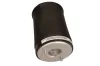 Luftfeder, Fahrwerk Hinterachse links MAXGEAR 11-0566
