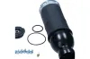 Luftfeder, Fahrwerk Vorderachse beidseitig MAXGEAR 11-0770 Bild Luftfeder, Fahrwerk Vorderachse beidseitig MAXGEAR 11-0770