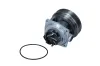 Wasserpumpe, Motorkühlung MAXGEAR 47-0137