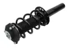 Fahrwerksfeder Vorderachse MAXGEAR 11-2119