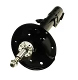 Stoßdämpfer Vorderachse rechts MAXGEAR 11-1169