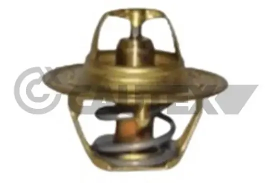 Thermostat, Kühlmittel CAUTEX 772154 Bild Thermostat, Kühlmittel CAUTEX 772154