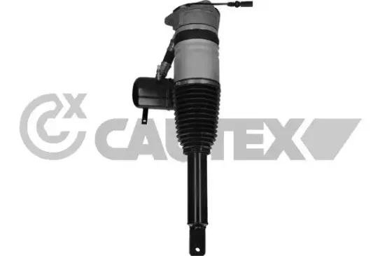 Luftfederbein Hinterachse links CAUTEX 752015 Bild Luftfederbein Hinterachse links CAUTEX 752015