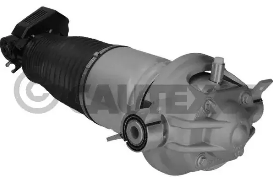 Luftfederbein Hinterachse rechts CAUTEX 752020 Bild Luftfederbein Hinterachse rechts CAUTEX 752020