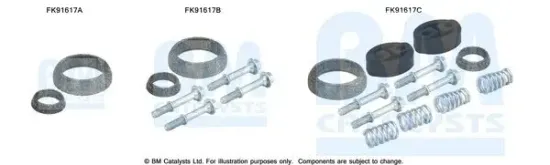 Montagesatz, Katalysator BM CATALYSTS FK91617 Bild Montagesatz, Katalysator BM CATALYSTS FK91617