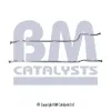 Abgasrohr Mitte BM CATALYSTS BM50015