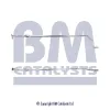 Abgasrohr mitte BM CATALYSTS BM50107 Bild Abgasrohr mitte BM CATALYSTS BM50107