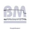 Abgasrohr mitte BM CATALYSTS BM50113 Bild Abgasrohr mitte BM CATALYSTS BM50113