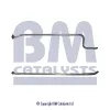 Abgasrohr mitte BM CATALYSTS BM50123