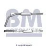 Abgasrohr mitte BM CATALYSTS BM50257