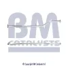 Abgasrohr hinten BM CATALYSTS BM50317
