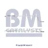 Abgasrohr mitte BM CATALYSTS BM50318
