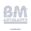 Abgasrohr Mitte BM CATALYSTS BM50330