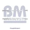 Abgasrohr hinten BM CATALYSTS BM50341