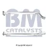 Abgasrohr mitte BM CATALYSTS BM50461