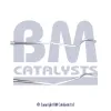 Abgasrohr hinten BM CATALYSTS BM50624