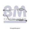 Katalysator BM CATALYSTS BM80036H