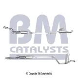 Katalysator BM CATALYSTS BM91674H