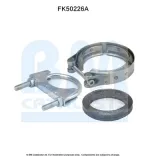 Montagesatz, Abgasrohr BM CATALYSTS FK50226