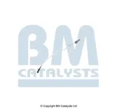 Druckleitung, Drucksensor (Ruß-/Partikelfilter) vor Rußpartikelfilter BM CATALYSTS PP11322A