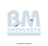 Druckleitung, Drucksensor (Ru&szlig;-/Partikelfilter) BM CATALYSTS PP31073A