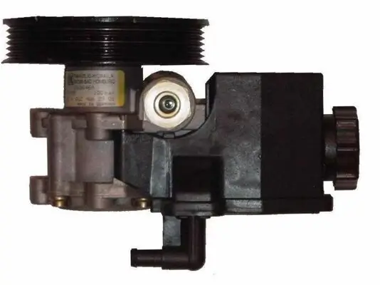 Hydraulikpumpe, Lenkung WAT BMR51L Bild Hydraulikpumpe, Lenkung WAT BMR51L