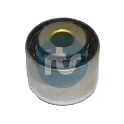 Lagerung, Lenker Hinterachse beidseitig oben vorne innen RTS 017-00274