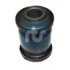 Lagerung, Lenker Vorderachse beidseitig unten vorne RTS 017-00293
