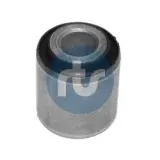 Lagerung, Lenker Hinterachse beidseitig Hinterachse rechts unten hinten Hinterachse links RTS 017-00732