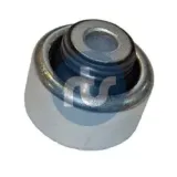 Lagerung, Lenker Vorderachse beidseitig unten vorne RTS 017-00759