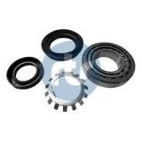 Lagerung, Stabilisator Vorderachse beidseitig RTS 035-00147